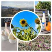 ヒメ日記 2025/12/07 15:14 投稿 ★みか★ 秘密の電停  岡山店（カサブランカグループ）