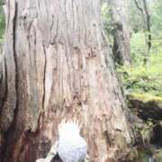 ヒメ日記 2025/05/09 12:42 投稿 ★ひより★ 秘密の電停  岡山店（カサブランカグループ）