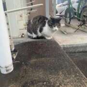 ヒメ日記 2026/01/28 08:03 投稿 ナルミ バニーコレクション秋田店