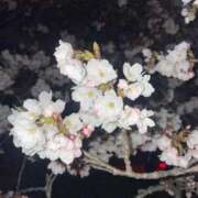 ヒメ日記 2026/04/05 13:06 投稿 ナルミ バニーコレクション秋田店