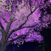 ヒメ日記 2026/04/15 17:11 投稿 ナルミ バニーコレクション秋田店