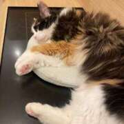 ヒメ日記 2026/05/30 13:04 投稿 ナルミ バニーコレクション秋田店