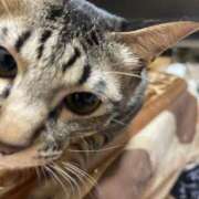 ヒメ日記 2025/01/28 18:45 投稿 りょう 南国ラブストーリー宮古島