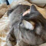 ヒメ日記 2025/03/05 18:57 投稿 りょう 南国ラブストーリー宮古島