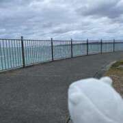 ヒメ日記 2025/03/13 17:03 投稿 りょう 南国ラブストーリー宮古島