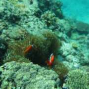 ヒメ日記 2025/03/30 00:03 投稿 りょう 南国ラブストーリー宮古島