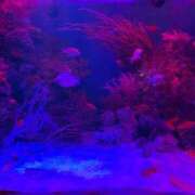 ヒメ日記 2025/04/08 19:03 投稿 りょう 南国ラブストーリー宮古島