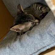 ヒメ日記 2025/04/11 21:33 投稿 りょう 南国ラブストーリー宮古島