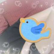 ヒメ日記 2025/08/21 18:00 投稿 りょう 南国ラブストーリー宮古島