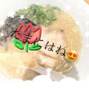 ヒメ日記 2025/09/04 18:18 投稿 りょう 南国ラブストーリー宮古島