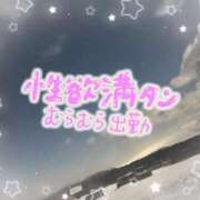 ヒメ日記 2025/10/12 19:09 投稿 りょう 南国ラブストーリー宮古島