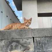 ヒメ日記 2025/11/15 17:03 投稿 りょう 南国ラブストーリー宮古島