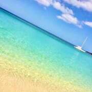 ヒメ日記 2025/10/13 10:26 投稿 るみ 変態なんでも鑑定団