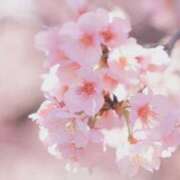 ヒメ日記 2025/02/28 08:15 投稿 土屋まなみ ローテンブルク