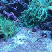 ヒメ日記 2025/03/05 07:52 投稿 土屋まなみ ローテンブルク