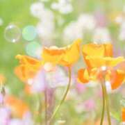 ヒメ日記 2025/05/24 09:15 投稿 土屋まなみ ローテンブルク