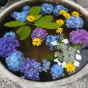 ヒメ日記 2025/05/25 07:45 投稿 土屋まなみ ローテンブルク