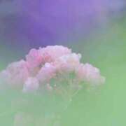 ヒメ日記 2025/06/01 09:30 投稿 土屋まなみ ローテンブルク