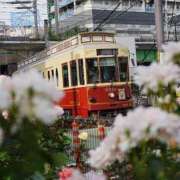 ヒメ日記 2025/06/13 11:15 投稿 土屋まなみ ローテンブルク