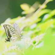 ヒメ日記 2025/06/23 16:16 投稿 土屋まなみ ローテンブルク