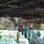 ヒメ日記 2025/06/30 14:15 投稿 土屋まなみ ローテンブルク