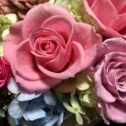 ヒメ日記 2025/07/12 06:30 投稿 土屋まなみ ローテンブルク