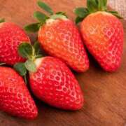 ヒメ日記 2026/02/01 13:45 投稿 土屋まなみ ローテンブルク