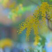 ヒメ日記 2026/03/01 10:45 投稿 土屋まなみ ローテンブルク