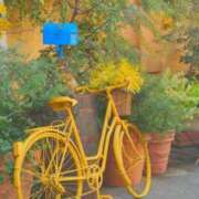 ヒメ日記 2026/03/20 06:30 投稿 土屋まなみ ローテンブルク