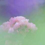 ヒメ日記 2026/06/13 06:30 投稿 土屋まなみ ローテンブルク