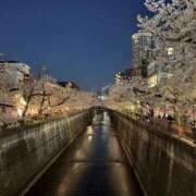 ヒメ日記 2026/04/16 18:33 投稿 まりは (Mariha) 出張メンズエステ RELAX【DIVAグループ】