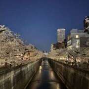 ヒメ日記 2026/04/16 18:44 投稿 まりは (Mariha) 出張メンズエステ RELAX【DIVAグループ】