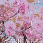 ヒメ日記 2026/04/21 14:17 投稿 まりは (Mariha) 出張メンズエステ RELAX【DIVAグループ】