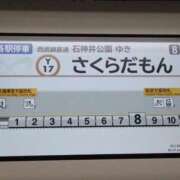 ヒメ日記 2026/08/29 17:20 投稿 さくら マットDEY-jo（マット・デ・ワイジョ）