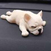 ヒメ日記 2025/07/09 17:27 投稿 蛯原 るい プルプルオフィスディーバ