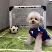 蛯原 るい ワールドカップ開幕🥳⚽️ プルプルオフィスディーバ