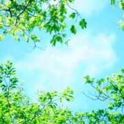 ヒメ日記 2025/05/03 08:12 投稿 乾 はるか プルプルオフィスディーバ