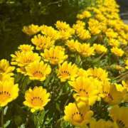 ヒメ日記 2025/05/09 07:40 投稿 乾 はるか プルプルオフィスディーバ