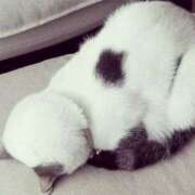 ヒメ日記 2025/06/06 10:52 投稿 乾 はるか プルプルオフィスディーバ