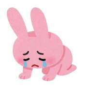 ヒメ日記 2025/11/04 14:02 投稿 乾 はるか プルプルオフィスディーバ