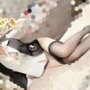 ヒメ日記 2025/11/20 08:12 投稿 乾 はるか プルプルオフィスディーバ