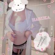 ヒメ日記 2025/12/01 16:36 投稿 乾 はるか プルプルオフィスディーバ