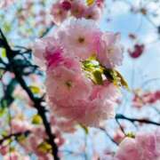 ヒメ日記 2025/04/11 21:45 投稿 まほ ビギナーズ神戸