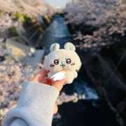 ヒメ日記 2025/04/27 20:58 投稿 まほ ビギナーズ神戸