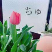 ヒメ日記 2025/03/29 22:01 投稿 喜多山あまね ミセス大阪日本橋店