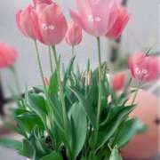 ヒメ日記 2025/04/23 23:00 投稿 喜多山あまね ミセス大阪日本橋店