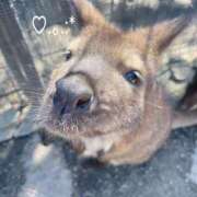 ヒメ日記 2025/10/24 20:50 投稿 喜多山あまね ミセス大阪日本橋店