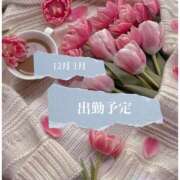 喜多山あまね 12月 1月 出勤予定🐰 ミセス大阪日本橋店