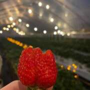 ヒメ日記 2026/02/08 10:15 投稿 喜多山あまね ミセス大阪日本橋店