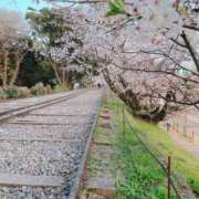 ヒメ日記 2026/04/02 22:45 投稿 喜多山あまね ミセス大阪日本橋店